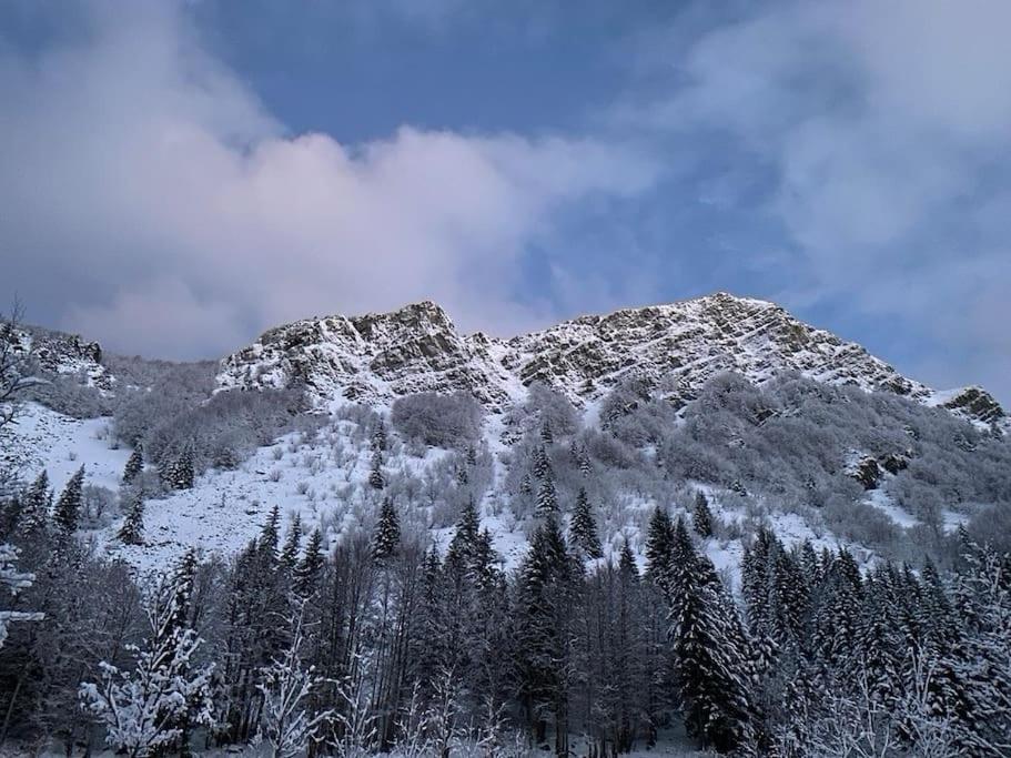La Casetta Sulla Neve Abetone Εξωτερικό φωτογραφία