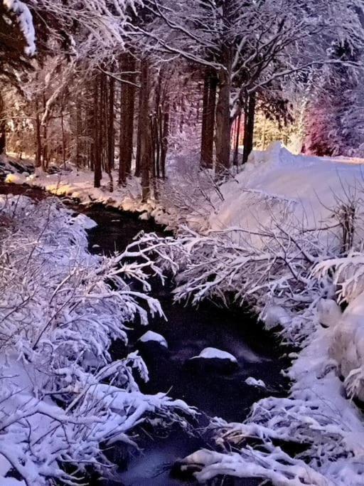 La Casetta Sulla Neve Abetone Εξωτερικό φωτογραφία